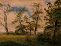 Landscape with free-standing trees