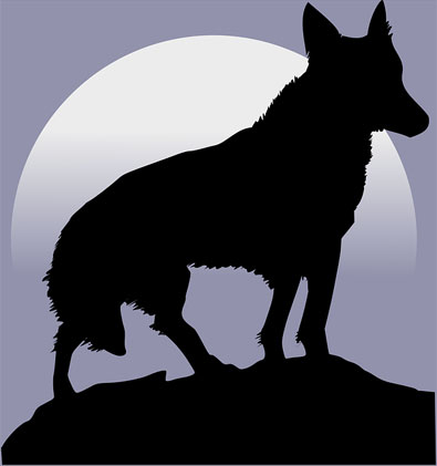 wolf-shiluet
